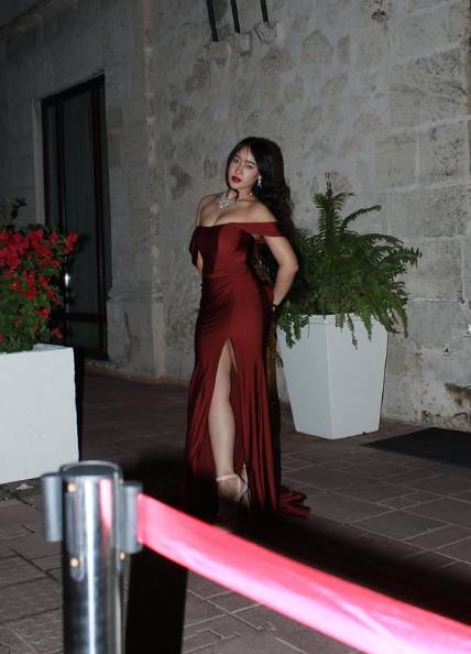 Classy Burgundy Off The Shoulder Evening Dress Prom Dress,Mermaid Party Dress cc2855