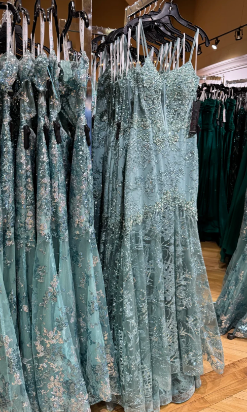 Charming Prom Dress Spaghetti Straps Pleated Long Mermaid Evening Dress Gala Dress cc5687