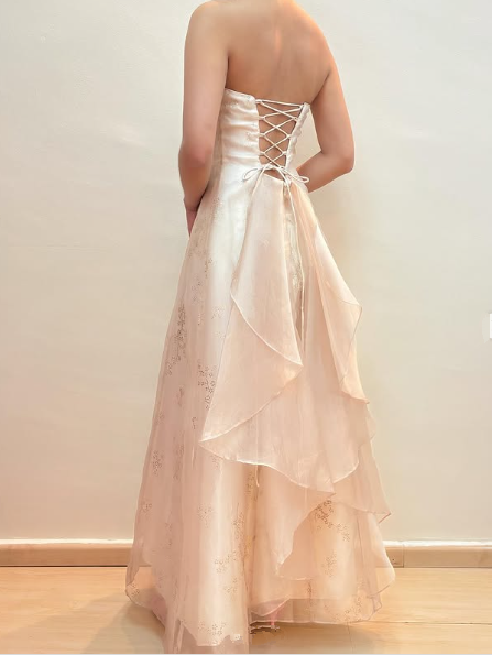 Champagne Strapless Tulle Sequins Party Dress A Line Evening Dress cc2617