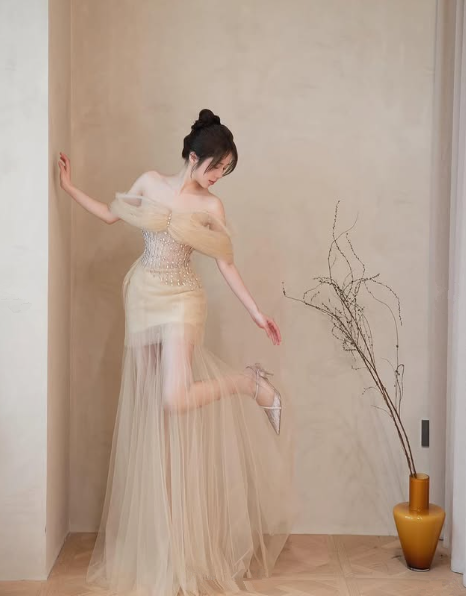 Simple Champagne Tulle Beaded Party Dress,Off The Shoulder A Line Prom Evening Dress cc2984