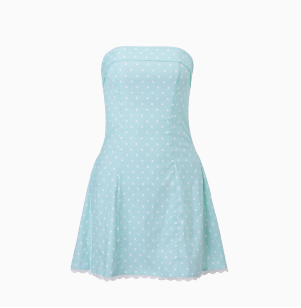 Sweet Polka Dot Lace Tube Top A-Line Homecoming Dress cc3590