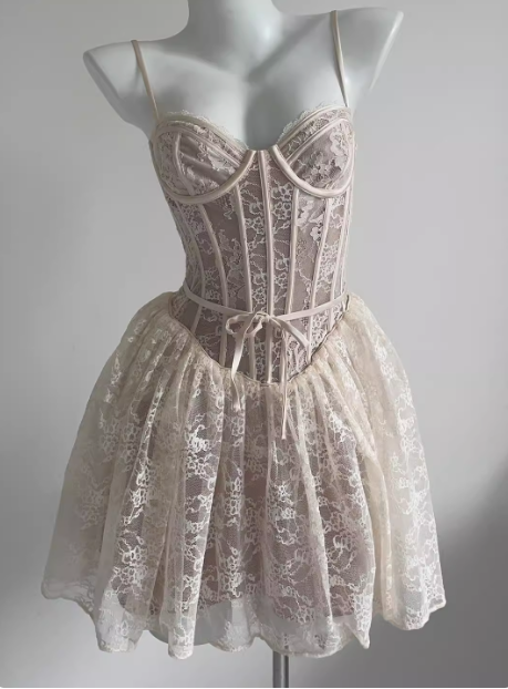 Sexy Lace Suspender Princess Dress Fishbone A-line Birthday Dress Homecoming Dress cc3627