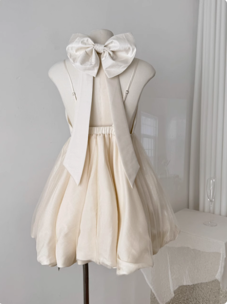 Princess Bowknot Halter Neck Sling Waist Net Tulle Puffy Birthday Party Dress Homecoming Dress cc3675