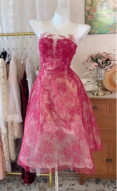 Vintage Palace Lace Embroidery Mesh Birthday Dress Homecoming Dress cc3915