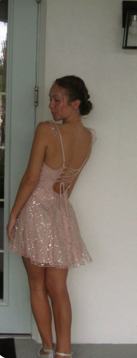 Sweet Pink Square Neck Sequined Back Tie Tulle A-line Birthday Party Homecoming Dress cc4510