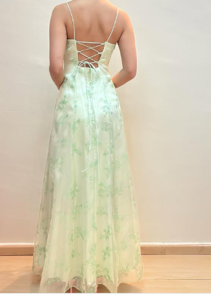 Pretty Light Green Tulle Sequins Party Dress A Line Evening Gown cc2615