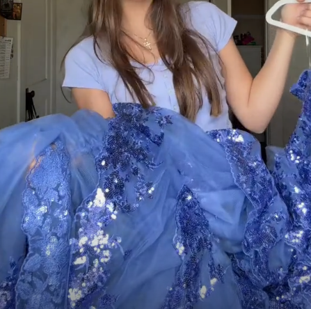 Pretty Blue Tulle Sequins Layered Prom Dress Long Slit Party Evening Gown cc2452