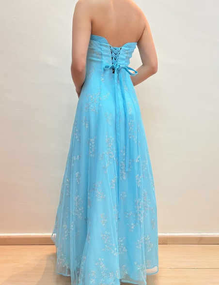 Chic Strapless Blue A Line Tulle Sequins Party Dress,Formal Prom Evening Dress cc2608