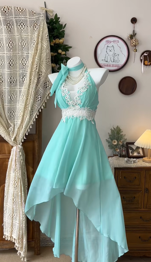 Vintage Hi-Low Chiffon Appliques Party Dress A Line Homecoming Dress cc3081