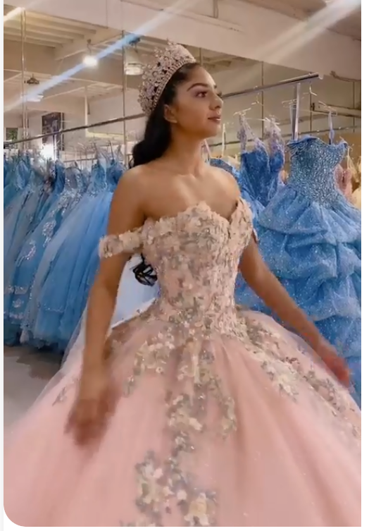 Beautiful with Floral Ball Gown Pink Sweet 16 Dress Princess Tulle Dress c3284