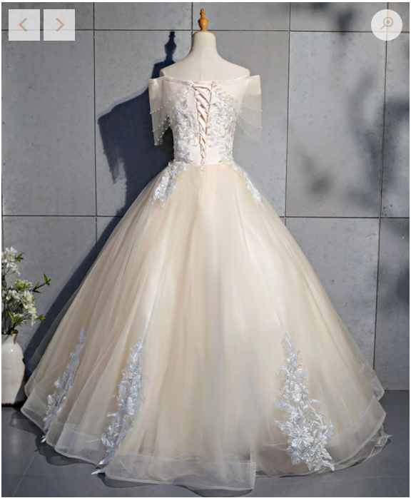 Champagne tulle lace long prom dress, champagne tulle evening dress C1838