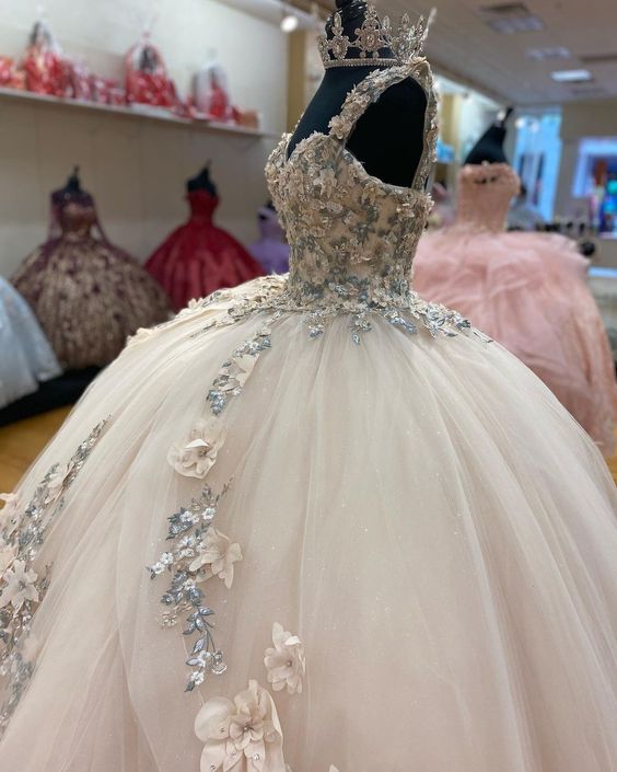 A-line Tulle Ball Gown Puffy Sweet 16 Dress 3D Flowers Birthday Dress c3282