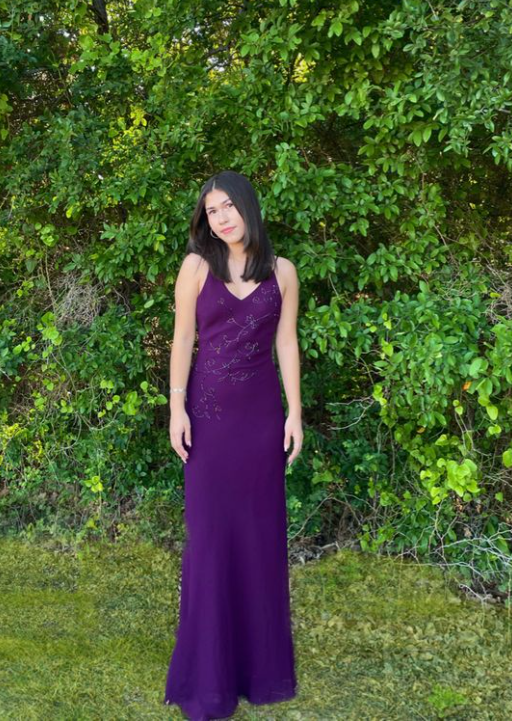 Spaghetti Straps V Neck Sheath Evening Dress Purple Party Dress cc2160