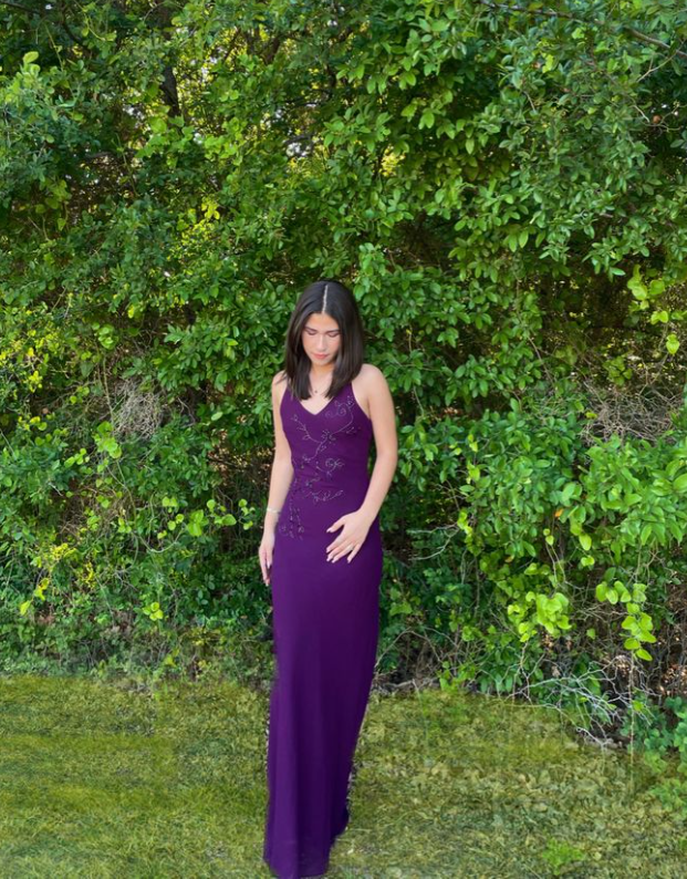 Spaghetti Straps V Neck Sheath Evening Dress Purple Party Dress cc2160