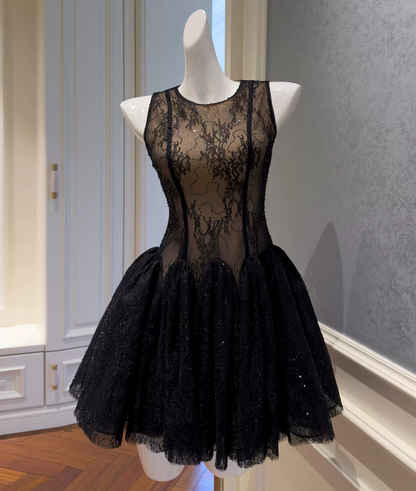 Stunning Homecoming Dress Black Crew Neck Lace Birthday Party Dress Cocktail Dress cc5660