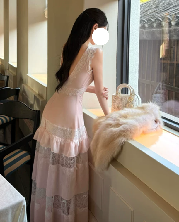 Elegant Prom Dress Light Pink V-neck Lace Gala Dress Evening Dress cc5665