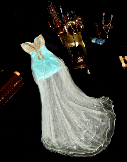 Gorgeous Prom Dress Sweetheart Tulle Evening Dress Gala Dress Party Dress cc5684