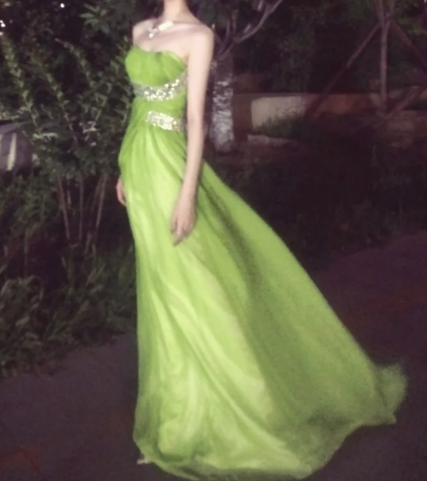 Elegant Prom Dress Strapless Pleated Long Evening Dress Gala Dress cc5686
