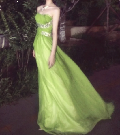 Elegant Prom Dress Strapless Pleated Long Evening Dress Gala Dress cc5686