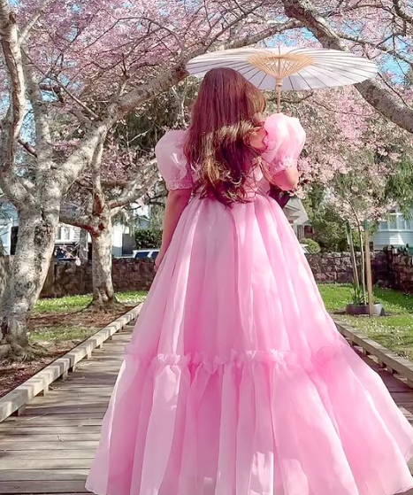 Vintage Pink A-line Prom Dress,Pink Birthday Party Dress  cc1339