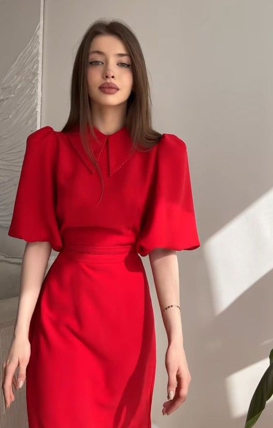 Classy Red Short Sleeves Party Dress,Red Casual Dress  cc1331