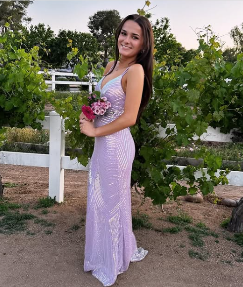 Luxury Lilac Spaghetti Straps Vneck Backless Evening Dress Mermaid Party Prom Dress cc2402