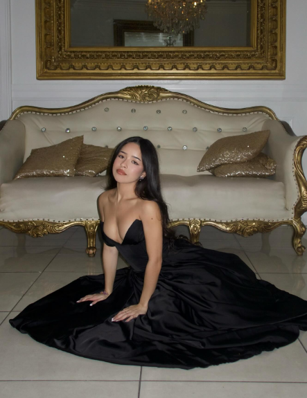 Elegant Black A-line Strapless Deep V-neck Satin Prom Dress Evening Dress cc4855