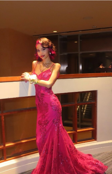 Gorgeous Rose Red Mermaid Trail Deep V Strap Sequined Long Prom Dress Evening Dress cc4723