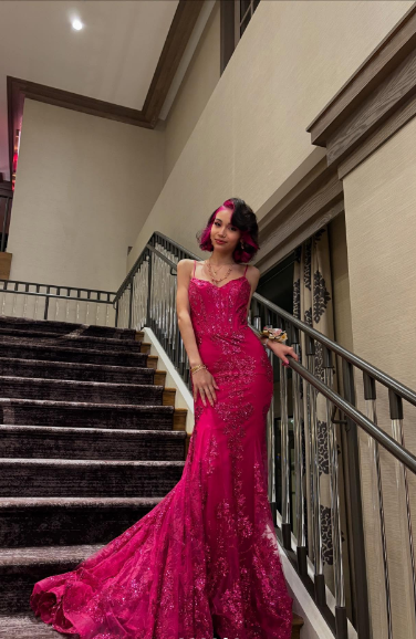 Gorgeous Rose Red Mermaid Trail Deep V Strap Sequined Long Prom Dress Evening Dress cc4723