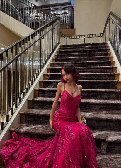 Gorgeous Rose Red Mermaid Trail Deep V Strap Sequined Long Prom Dress Evening Dress cc4723