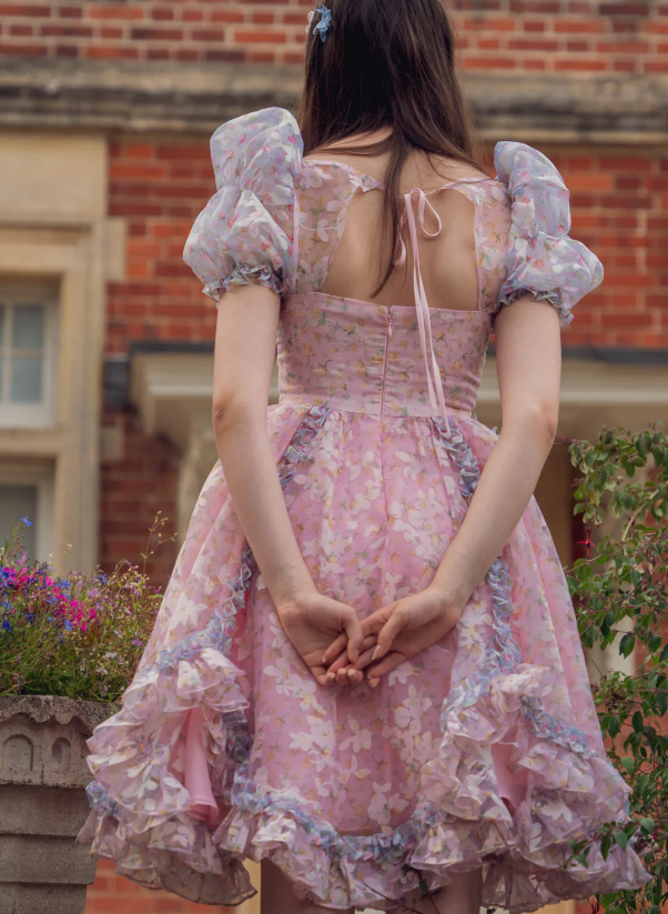 Princess Print Short Sleeve Pink Tulle A-Line Birthday Skirt Homecoming Dress cc3647