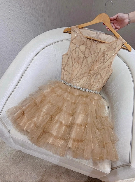 Elegant Round Neck Champagne Tulle Cake Birthday Short Skirt Homecoming Dress cc3799