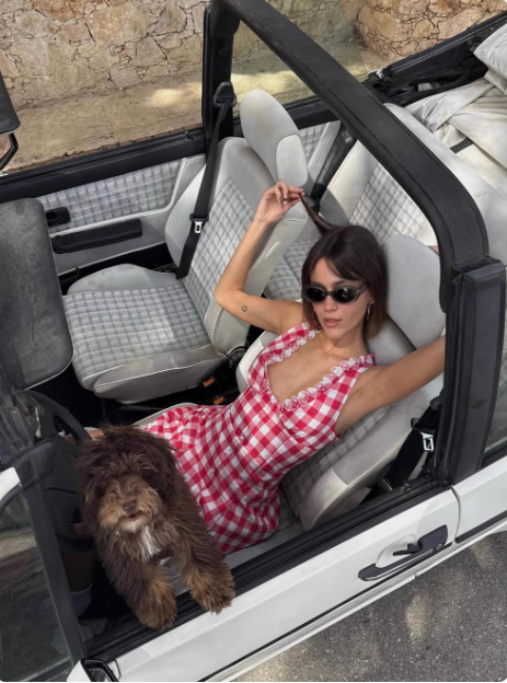 Vintage Lace Plaid V-neck Sweet Birthday Short Skirt Homecoming Dress cc3847