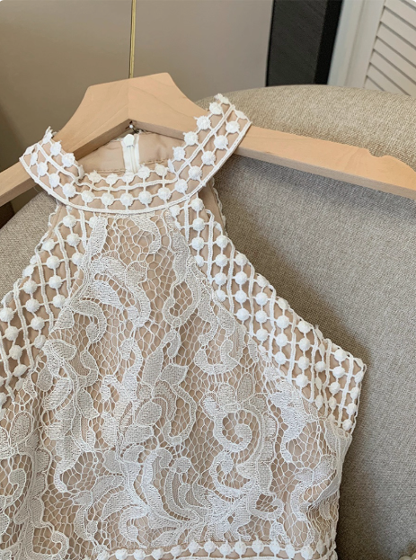 Elegant Sleeveless Halter Neck Lace Waist Hip Birthday Dress Homecoming Dress cc3950