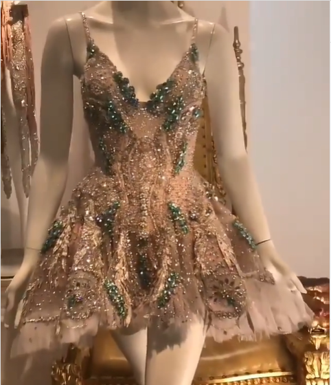 Luxury Champagne Gold Deep V-Neck Strap Diamond Mesh A-Line Birthday Dress Homecoming cc4045