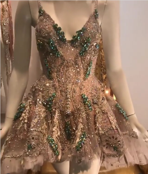 Luxury Champagne Gold Deep V-Neck Strap Diamond Mesh A-Line Birthday Dress Homecoming cc4045