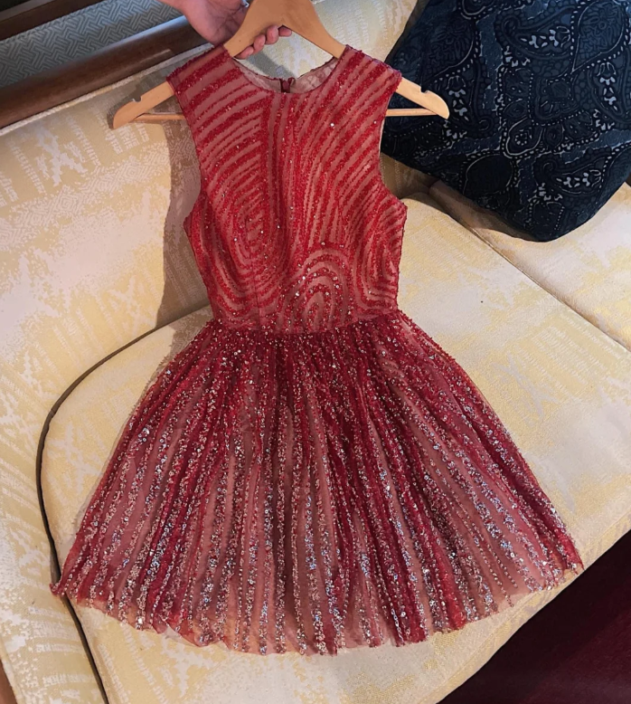 Vintage Red Sequin Sleeveless A Line Homecoming Dress Short Party Dress  cc3140