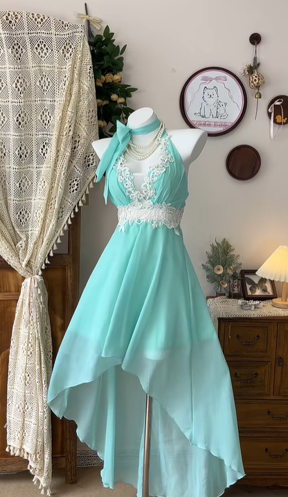 Vintage Hi-Low Chiffon Appliques Party Dress A Line Homecoming Dress cc3081