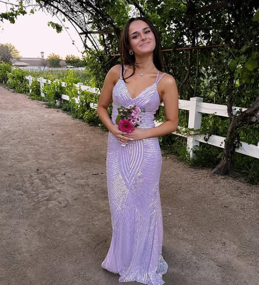 Luxury Lilac Spaghetti Straps Vneck Backless Evening Dress Mermaid Party Prom Dress cc2402