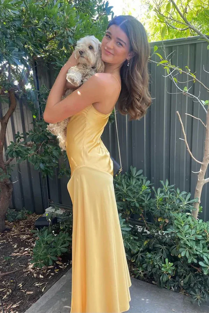 Popular Satin Mermaid Long Evening Prom Dress cc1319