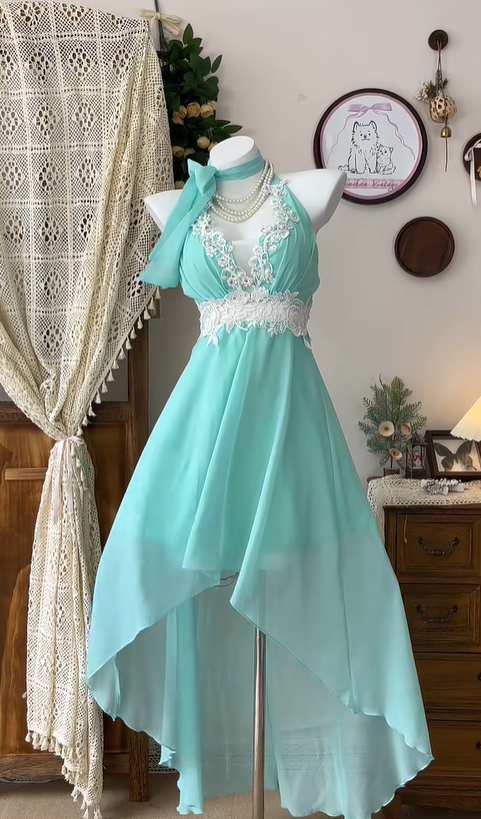 Vintage Hi-Low Chiffon Appliques Party Dress A Line Homecoming Dress cc3081