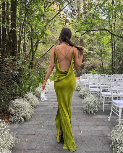 Chic Print Long Prom Dress Sexy Backless Evening Dress cc1408