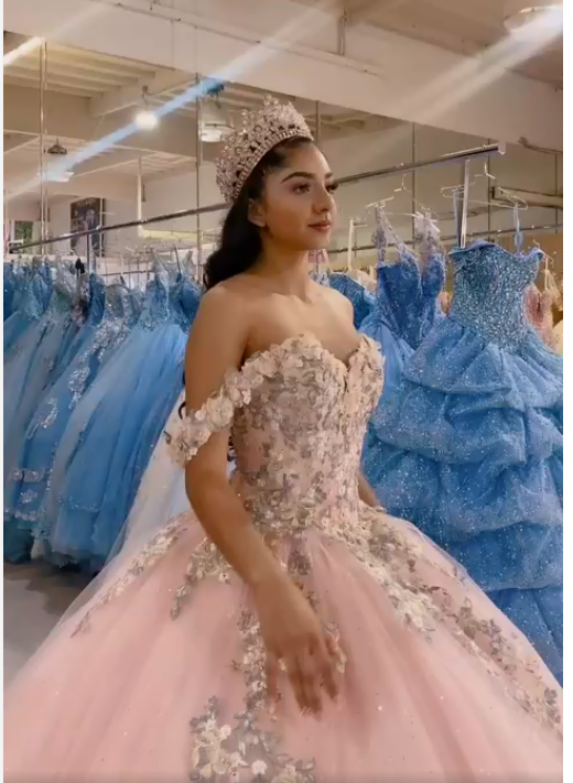 Beautiful with Floral Ball Gown Pink Sweet 16 Dress Princess Tulle Dress  c3284