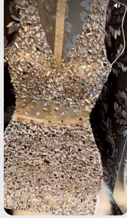 Luxurious V-Neck Party Dress Sexy Party Dress cc68