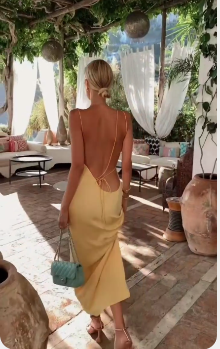Open Back Simple Prom Dress Chic Floor Length Prom Dress C2388