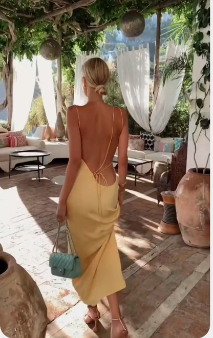 Open Back Simple Prom Dress Chic Floor Length Prom Dress C2388