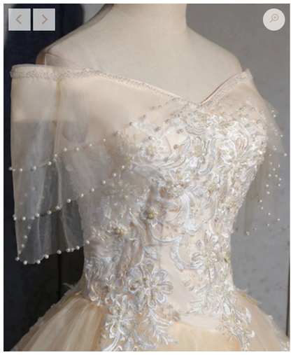 Champagne tulle lace long prom dress, champagne tulle evening dress C1838