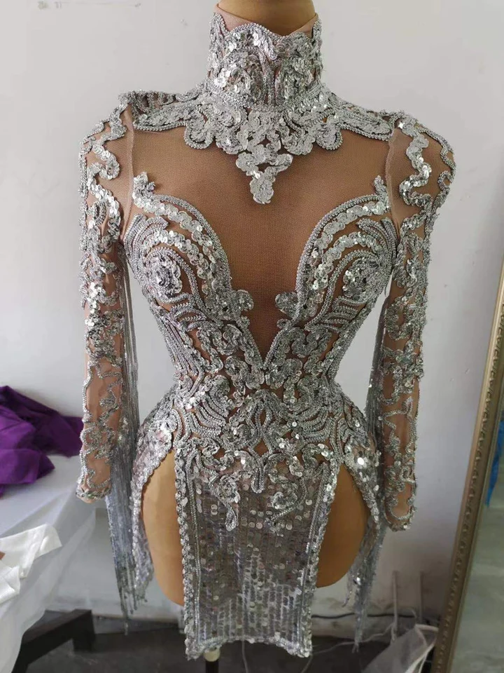 Shining Silver Sequins Fringes Dress Costume Sexy Party Dress c3140