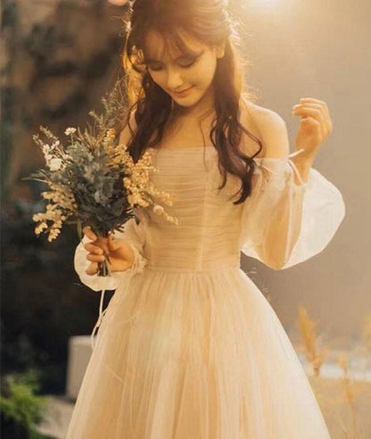 Champagne tulle long prom dress, champagne tulle evening dress  C1608
