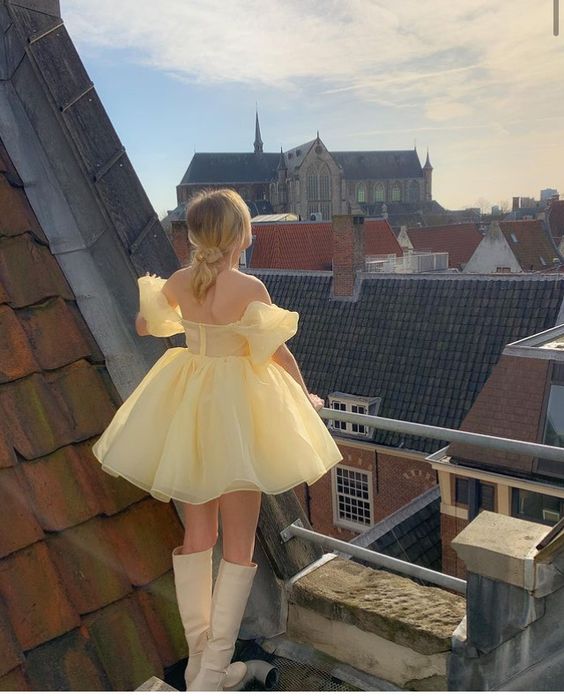 Vintage Cute Classic Off-the-shoulder Mini Princess Dress Cute Party Dress c2935